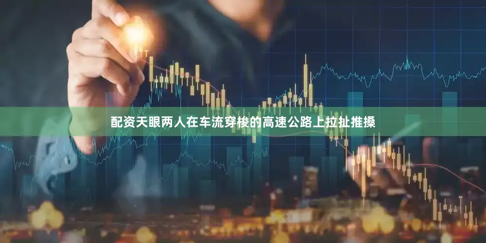 配资天眼两人在车流穿梭的高速公路上拉扯推搡