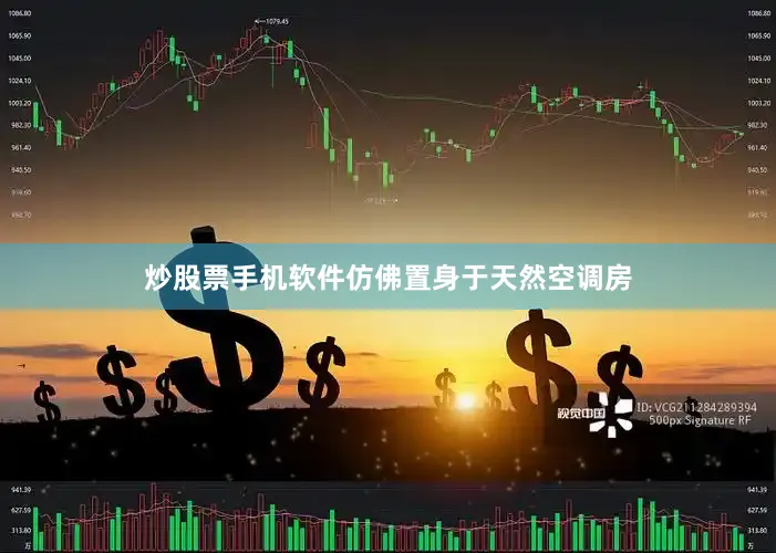 炒股票手机软件仿佛置身于天然空调房