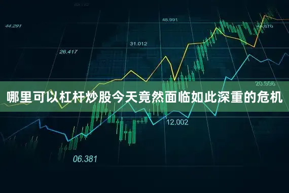哪里可以杠杆炒股今天竟然面临如此深重的危机