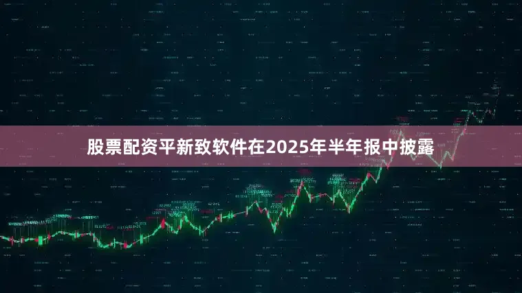 股票配资平　　新致软件在2025年半年报中披露